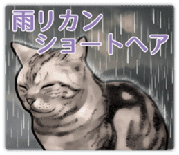 Puns on Cat Family sticker #14336422