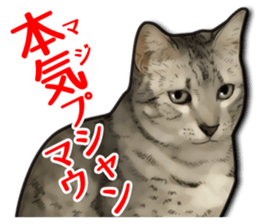 Puns on Cat Family sticker #14336427