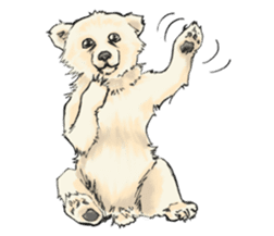 Cute Little Bears sticker #14337406