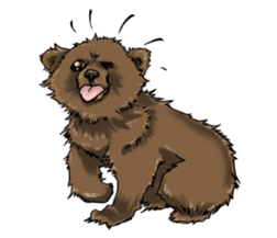 Cute Little Bears sticker #14337407