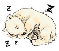 Cute Little Bears sticker #14337409