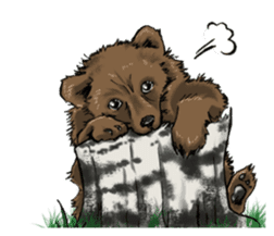 Cute Little Bears sticker #14337412