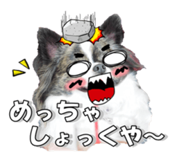 chihuahuaFan 2 sticker #14338406