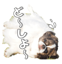 chihuahuaFan 2 sticker #14338410