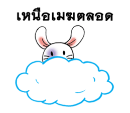 This is a cat and is not a rabbit sticker #14338987