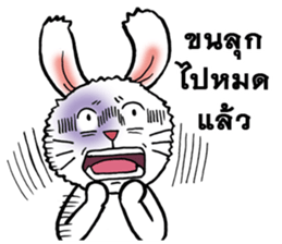 This is a cat and is not a rabbit sticker #14338994