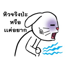 This is a cat and is not a rabbit sticker #14339002