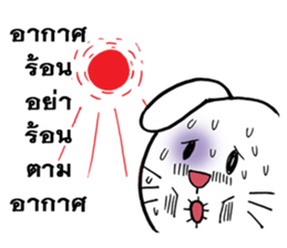 This is a cat and is not a rabbit sticker #14339004