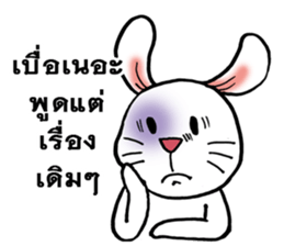 This is a cat and is not a rabbit sticker #14339006