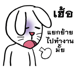 This is a cat and is not a rabbit sticker #14339013