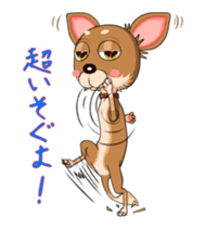 Bambi the Chihuahua 2 sticker #14343358