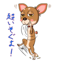Bambi the Chihuahua 2 sticker #14343358