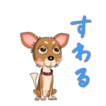 Bambi the Chihuahua 2 sticker #14343366