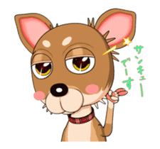 Bambi the Chihuahua 2 sticker #14343368