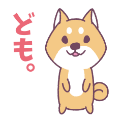 Shiba Inu "Akashiba San" Sticker
