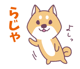 Shiba Inu "Akashiba San" Sticker sticker #14343712