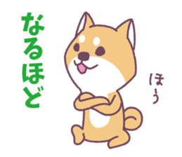 Shiba Inu "Akashiba San" Sticker sticker #14343714