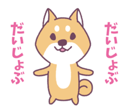 Shiba Inu "Akashiba San" Sticker sticker #14343716