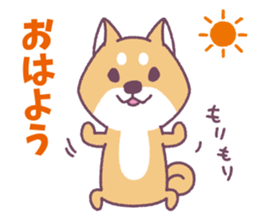 Shiba Inu "Akashiba San" Sticker sticker #14343717