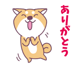 Shiba Inu "Akashiba San" Sticker sticker #14343719