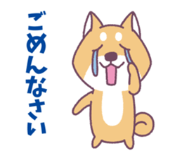 Shiba Inu "Akashiba San" Sticker sticker #14343720