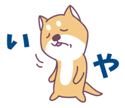Shiba Inu "Akashiba San" Sticker sticker #14343724