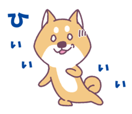 Shiba Inu "Akashiba San" Sticker sticker #14343726
