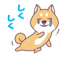 Shiba Inu "Akashiba San" Sticker sticker #14343729