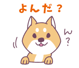 Shiba Inu "Akashiba San" Sticker sticker #14343732