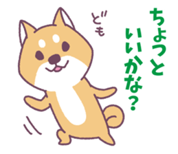 Shiba Inu "Akashiba San" Sticker sticker #14343733