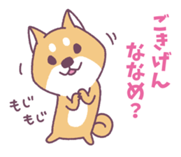 Shiba Inu "Akashiba San" Sticker sticker #14343734