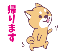 Shiba Inu "Akashiba San" Sticker sticker #14343739