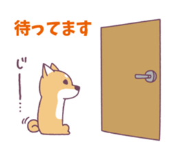 Shiba Inu "Akashiba San" Sticker sticker #14343740