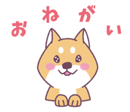 Shiba Inu "Akashiba San" Sticker sticker #14343741