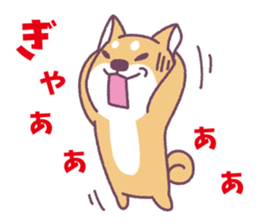 Shiba Inu "Akashiba San" Sticker sticker #14343742