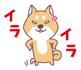 Shiba Inu "Akashiba San" Sticker sticker #14343744