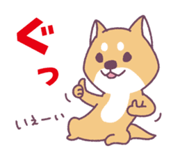 Shiba Inu "Akashiba San" Sticker sticker #14343746