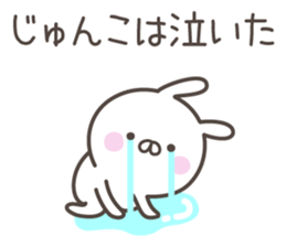 JUNKO's basic pack,cute rabbit sticker #14343943