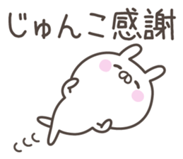 JUNKO's basic pack,cute rabbit sticker #14343948