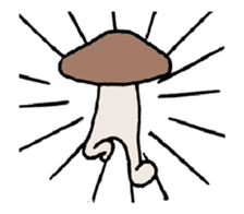 Shiitake mushrooms shiitakeo 3 sticker #14344951