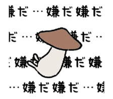 Shiitake mushrooms shiitakeo 3 sticker #14344964