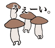 Shiitake mushrooms shiitakeo 3 sticker #14344968