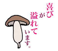 Shiitake mushrooms shiitakeo 3 sticker #14344972