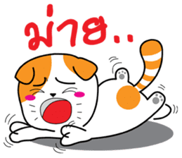 Scottish Fold and Indy mouse sticker #14345291