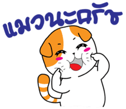 Scottish Fold and Indy mouse sticker #14345295