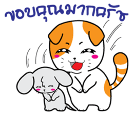 Scottish Fold and Indy mouse sticker #14345301