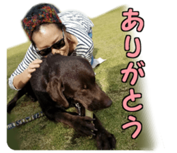 Sparky chocolate sticker #14346489