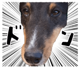 martye & lasutye sticker #14348141