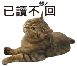 Milk Tea 2 sticker #14348143