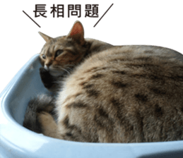 Milk Tea 2 sticker #14348147